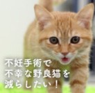プロジェクトオーナー