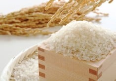 お米を長持ちさせる！窒素充填技術による、お米の新しい届け方「＃Nフレッシュ」