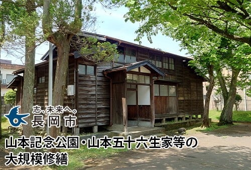 main_img