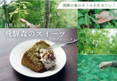 自然と伝統を紡ぐ飛騨森のスイーツ開発プロジェクト