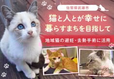地域猫活動で猫と人とが幸せに暮らすまちを目指します！