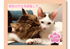 【第６弾】殺処分ゼロを目指す「鳴門ねこの会」の活動を応援したい