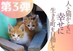 【第３弾】人と猫がともに幸せに生きる町を目指して（不妊・去勢手術の支援プロジェクト）