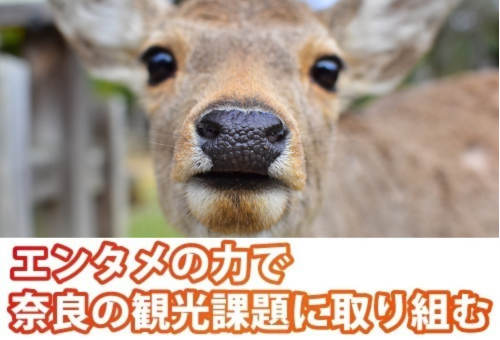 main_img