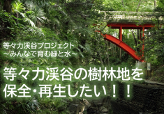  第４弾【等々力渓谷プロジェクト】等々力渓谷の樹林地を保全・再生したい！！
