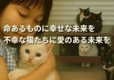 命あるものに幸せな未来を不幸な猫たちに愛のある未来を