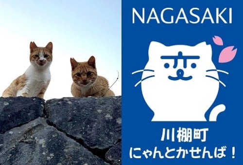 main_img