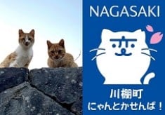 人にも動物にもやさしい町づくりを！　川棚町ＴＮＲ推進プロジェクト　第３弾