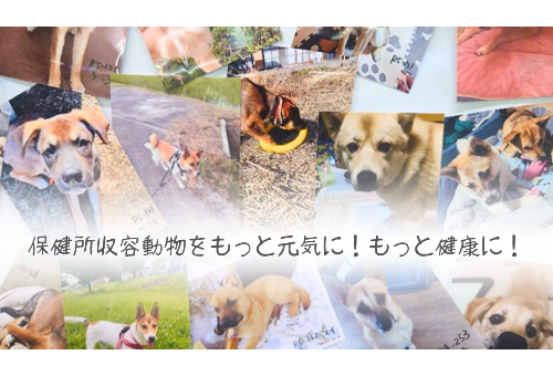 main_img