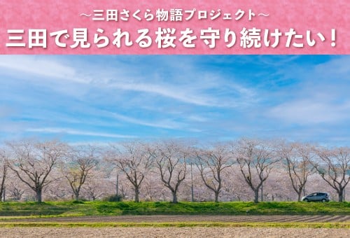 main_img