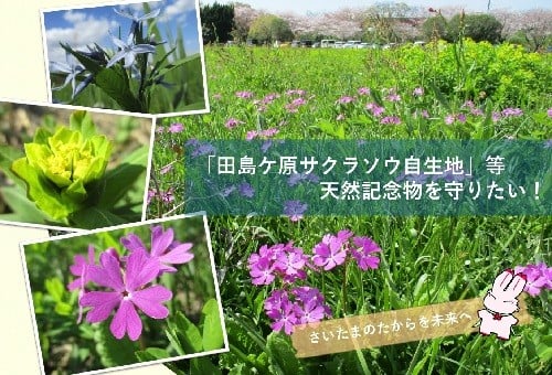 main_img
