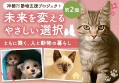 神栖の未来を変えるやさしい選択〈ともに築く、人と動物のやさしい暮らし〉