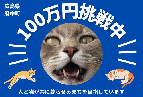 main_img