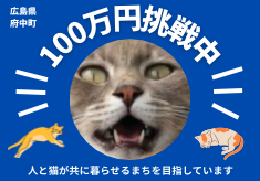 飼い主のいない猫（野良猫）を減らしたい｜人と猫が共に暮らせるまちを目指して｜