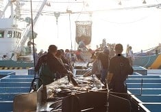 気仙沼の“美味しい”をこれからも！　ー水産都市として日本の食を支えるプロジェクトー