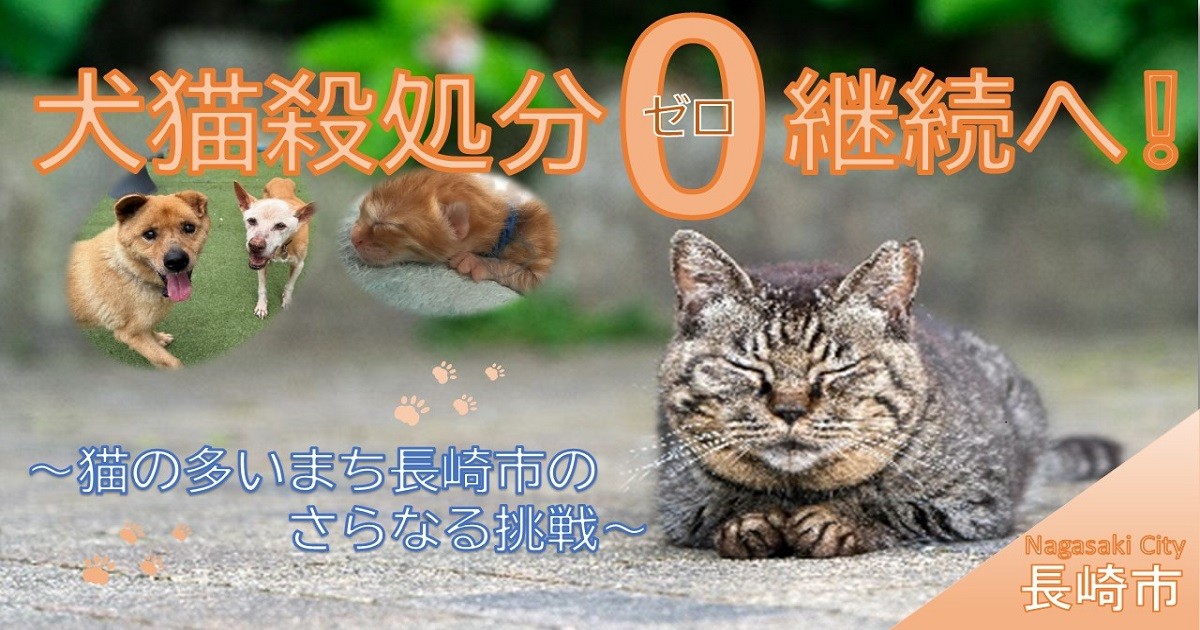 取引猫です。 新たなスター猫登場！2024年“ねこまみれ”の空間で新年スタート 「ねこ