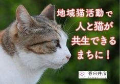 地域猫活動で「人と猫が共生できるまち」に！ 手術費補助事業へのご支援を