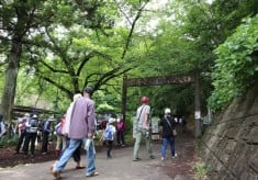 【第２弾】護摩堂山を親しみやすい里山に！ ｜訪れたくなる環境整備｜