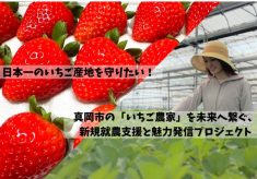 【日本一のいちご産地を守りたい！】真岡市の「いちご農業」を未来へ繋ぐ、新規就農支援と魅力発信プロジェクト