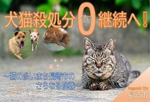 main_img