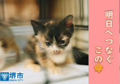 明日へ命をつなぐために 　理由なき殺処分ゼロをめざす活動にご支援をお願いします
