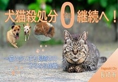 犬猫殺処分ゼロの継続へ！【猫の多いまち長崎市のさらなる挑戦】