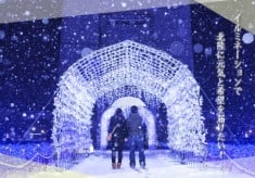 富山県小矢部市の風物詩！イルミネーションで北陸に元気と希望を届けたい！