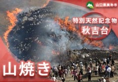 春を呼ぶ風物詩！国内最大級のカルスト台地・秋吉台山焼き