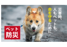 動物避難所を全国に！大災害でも動物と人を守るために