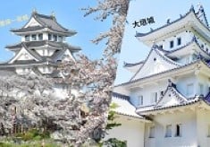 豊臣秀吉・秀長ゆかりの城「墨俣一夜城」と「大垣城」に来て・見て・知ってほしい！