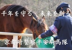 京都を駆ける平安騎馬隊を守ろう！ー未来へつなぐ６頭の仲間たちー