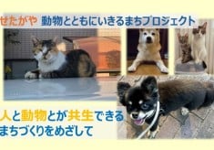 せたがや 動物とともにいきるまちプロジェクト