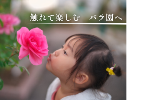 main_img