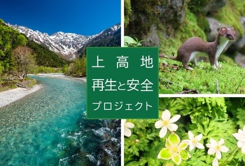 main_img