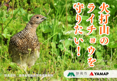 「火打山のライチョウを守りたい！！」絶滅危惧種「ライチョウ」の生息地保全活動