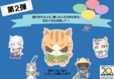 猫が好きな人も、嫌いな人も共存出来る四万十市を目指して！ ！　”人も猫も幸せに暮らすために”