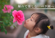 最北のバラ園のチャレンジ　人にも環境にもやさしい循環型バラ園プロジェクト
