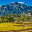 プロジェクトオーナー