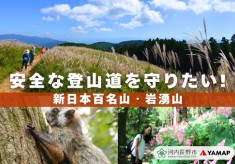 ムササビも暮らす森を未来につなぐ！岩湧の森再生プロジェクト【大阪で唯一の新日本百名山・岩湧山】危険木を撤去し、美しい景観、安全な岩湧登山をいつまでも