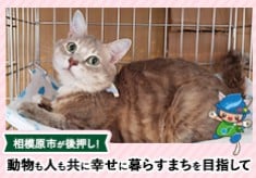 相模原市が後押し！動物も人も共に幸せに暮らすまちを目指して（第2弾）