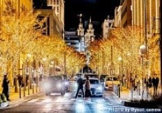 旧居留地イルミネーションをこれからも！ー変わらず見たい、心に残る冬の輝きー