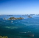 プロジェクトオーナー