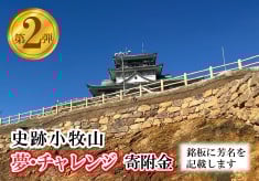【第2弾】信長が築いた小牧山城の石垣があなたの応援で現代によみがえる 史跡小牧山 夢・チャレンジ寄附金