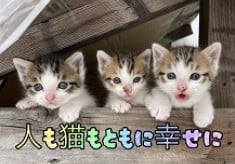 人も猫もともに幸せに暮らせるまちづくりを目指して【さくら猫TNR活動を支援します】