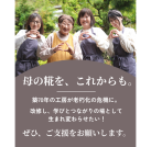 プロジェクトオーナー