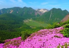 個性豊かな山々が連なる「くじゅう連山」の自然を守りたい！