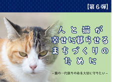 【第6弾】人と猫が幸せに暮らせるまちづくりのために|猫の一代限りの命を大切に守りたい|