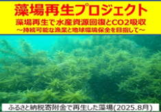 藻場を再生して水産資源回復とCO2吸収～持続可能な漁業と地球環境保全を目指して～
