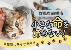 治療を施し里親につなげる。本当の意味での殺処分ゼロとは
