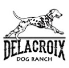 プロジェクトオーナー